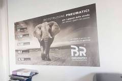 elefanti - ricostruzione - ufficio